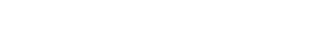 Page Header Logo